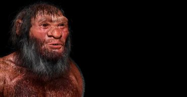 В нашей ДНК скрываются следы неизвестных видов: кто оставил призрачные линии