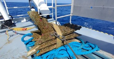 Нашли грозное оружие римлян: ученые обнаружили редкий артефакт у берегов Сицилии (фото)