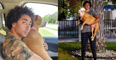 Собака, що загубився, знайшовся за 1609 кілометрів від дому через 2 роки (відео)