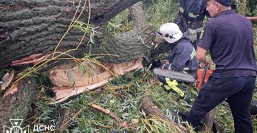 Непогода в Одесской области: дерево упало на палатку с детьми, погиб подросток