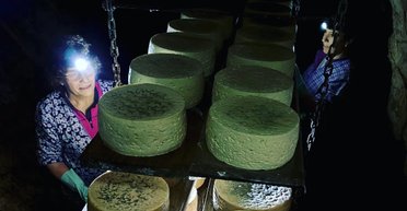 Испанские бабушки показали, как делается самый дорогой сыр в мире (видео)