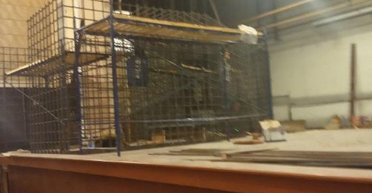 Как россияне создают фейковый "трибунал" в Мариуполе, — объясняет юрист