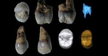 Интересные находки: в испанской пещере археологи нашли 120000-летние зубы неандертальцев