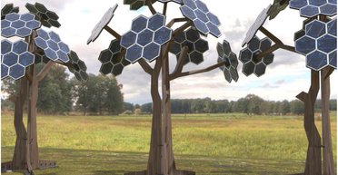 Сонячні панелі у формі дерев запрацюють у рази краще: у чому їхній секрет