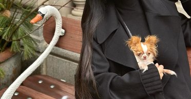 Демі Мур зіграє нову роль