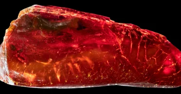 Ученые раскрыли тайну Гете: в этом помогла его коллекция янтаря (фото)