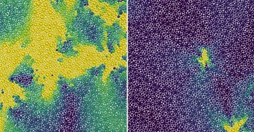 Між твердим і рідким: учені виявили прихований агрегатний стан