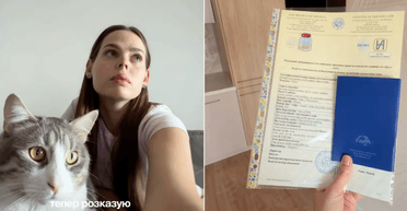 Ребенка проще: как вывезти кота за границу в 2026 году (фото)