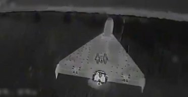 Минус 100 "Шахедов": в сети показали работу дронов-перехватчиков Sting (видео)