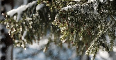 "Буде тепліше, ніж зазвичай": метеорологиня розповіла, яка погода переважатиме в Україні взимку