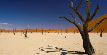 Отдых в Намибии: фотосафари на слонов, прыжки в водопад и знакомство с племенами