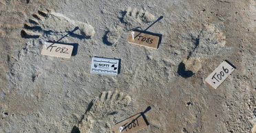 На десятки тысяч лет раньше. Ученые нашли слишком древние следы людей в Америке