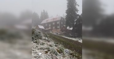 Украину замело первым снегом: детали от метеорологов (фото)