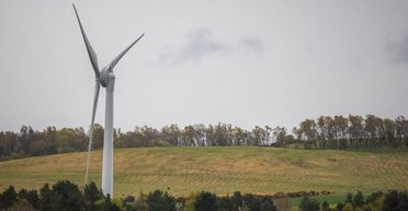 Гигантскую ветряную турбину останавливают из-за необычной жалобы: что произошло