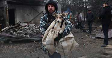 У Запоріжжі ЗС РФ влучили по собачому притулку: влаштували "жахливий терор", — міськрада (фото)