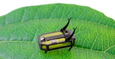 Любит выпить. Ученые создали крошечного робота, работающего на алкоголе