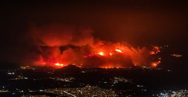 "Апокаліпсис" у Туреччині: через пекельну спеку горять ліси, є загиблі (фото, відео)