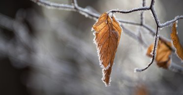 Погода на завтра: яким буде початок тижня