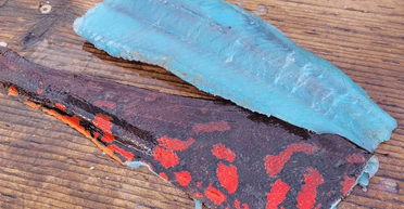 Філе яскраво-синього кольору: американець був вражений, розрізавши спійману ним рибу (фото)