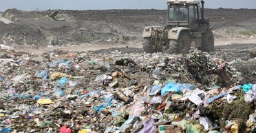 По человеческим меркам ей было 95 лет: в зоопарке Ривне объяснили, как труп львицы оказался на свалке