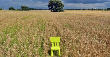 Решение земельного вопроса: принципиальные изменения и новые возможности