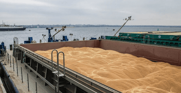 Хоть война — хоть не война. Почему Украине критически важно вывезти зерно