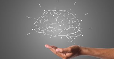 Здоровий глузд переоцінюють: учені кажуть, що в кожного він свій