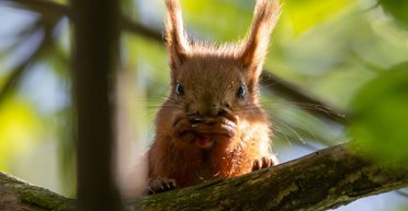 Много солнца и тепло до +19: синоптики порадовали прогнозом погоды в марте (карты)