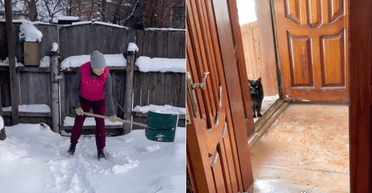 Украинцы купили дом, а там их ждал сюрприз: "Мы не ожидали" (фото)