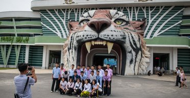 "Гладіаторські" бої та голод: як утримують тварин в улюбленому зоопарку Кім Чен Ина (фото)