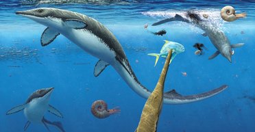 На арктическом острове обнаружено более 30 000 зубов и костей: кому принадлежат все эти останки