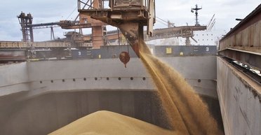 Запрет на импорт украинского зерна: в Польще намекнули, что поможет решить проблему