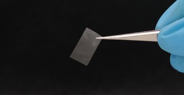 "Природа уже разработала": ученые получили материал для аккумуляторов из грибов (фото)