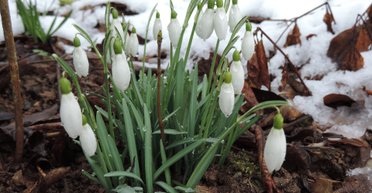 Сухо и по-весеннему солнечно: в Украине потеплеет до +17 (карты)