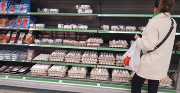 Фермеры ЕС не выдерживают конкуренции с Украиной: о каком продукте идет речь