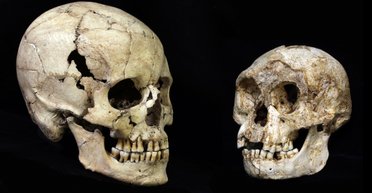 Ученые не могут точно сказать, где и когда появился Homo Sapiens