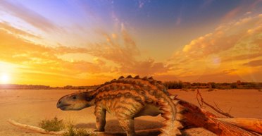 Во всеоружии. Палеонтологи нашли новый вид динозавра с "дубинкой" вместо хвоста (фото)