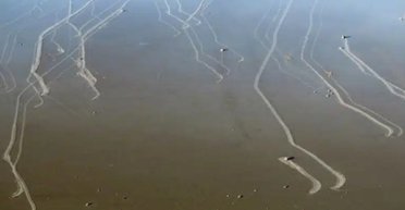 Гигантские камни в Долине Смерти движутся сами по себе: их "миграцию" даже смогли записать (видео)