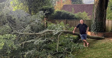Страдают люди: супругам запретили спилить 100-летнее дерево в собственном саду (фото)