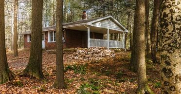 Після переїзду в 100-річну хатину посеред лісу життя пари перетворилось на пекло (фото)