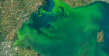 В Одессе вода в море начала светиться ярко голубым цветом: что произошло (видео)