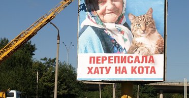 А потом сдадим кота и деда. Соцсети обсуждают совет депутата продать собаку и заплатить за газ