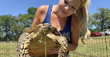 Домашняя черепаха в США пережила торнадо и чудом воссоединилась со своей семьей спустя длительное время (фото)