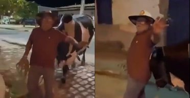 Мужчина выпил лишнего на вечеринке: гуляку домой проводил бычок (видео)