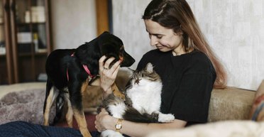 "Худшее, что вы можете сделать": дрессировщик назвал главную ошибку людей, которые только что завели собак