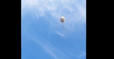 Украинские зенитчики сбили БПЛА "Ланцет" за 3 млн рублей со стрелкового оружия (видео)