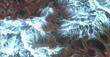 У найглибшому наземному каньйоні на Землі виявлено найвище дерево в Азії (фото)