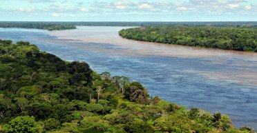 Нашли потерянную колонию: в Амазонии археологи сделали уникальное открытие