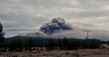 Мощное землетрясение и извержение вулкана на Камчатке: повреждены более 20 домов (видео)