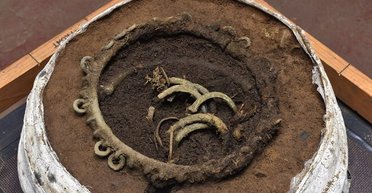 Сохранилась даже органика: в Шотландии археологи нашли клад возрастом 3 000 лет (фото)